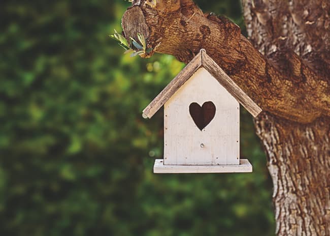 Home insurance
